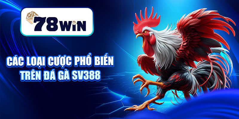 Các loại cược phổ biến trên đá gà Sv388