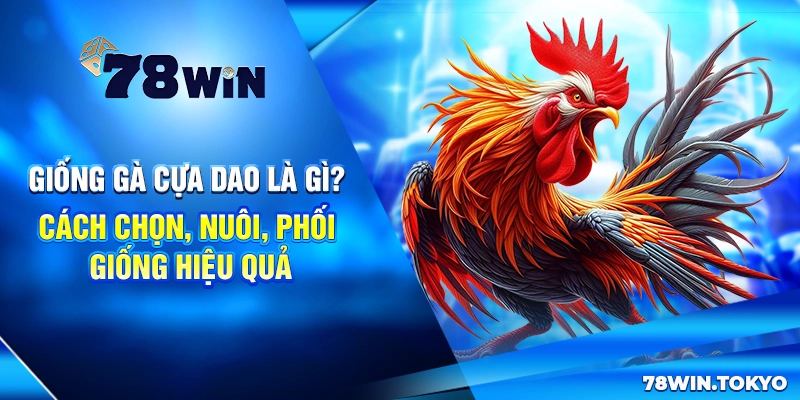 Giống Gà Cựa Dao – Đặc Điểm, Giá Trị Và Sức Chiến Đấu 4 Giống Gà Cựa Dao Là Gì? Cách Chọn, Nuôi, Phối Giống Hiệu Quả