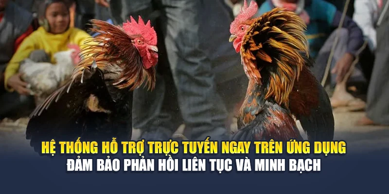 Hệ thống hỗ trợ trực tuyến ngay trên ứng dụng đảm bảo phản hồi liên tục và minh bạch