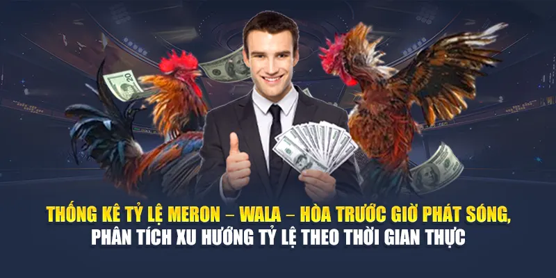 Cược Gà Một Cựa Tại 78WIN Sân Chơi Uy Tín, Tỷ Lệ Cao 7 Thống kê tỷ lệ Meron – Wala – Hòa trước giờ phát sóng, phân tích xu hướng tỷ lệ theo thời gian thực